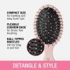 imageConair Detangling Hair Brush Set 3 Pack For Wet Dry and All Hair Types Detangling Brushes for Women in Tartan Red GreenBlack  Pink  Green