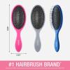 imageConair Detangling Hair Brush Set 3 Pack For Wet Dry and All Hair Types Detangling Brushes for Women in Tartan Red GreenBlue Pink Grey