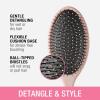 imageConair Detangling Hair Brush Set 3 Pack For Wet Dry and All Hair Types Detangling Brushes for Women in Tartan Red GreenEvergreen Blush Pink Black