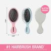 imageConair Detangling Hair Brush Set 3 Pack For Wet Dry and All Hair Types Detangling Brushes for Women in Tartan Red GreenPink  Blue  Silver