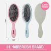 imageConair Detangling Hair Brush Set 3 Pack For Wet Dry and All Hair Types Detangling Brushes for Women in Tartan Red GreenPink  Blue  Silver