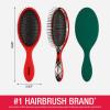imageConair Detangling Hair Brush Set 3 Pack For Wet Dry and All Hair Types Detangling Brushes for Women in Tartan Red GreenTartan  Red  Green