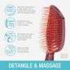 imageConair Scalp Care Detangling hairbrush  Curly Hair Brush  Scalp Massager  hairbrushes for women ampamp men  detangler for all lengths and types  can use wet or dry  Red RushRed