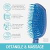 imageConair Scalp Care Detangling hairbrush  Curly Hair Brush  Scalp Massager  hairbrushes for women ampamp men  detangler for all lengths and types  can use wet or dry  Red RushBlue Aura