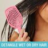 imageConair Scalp Care Detangling hairbrush  Curly Hair Brush  Scalp Massager  hairbrushes for women ampamp men  detangler for all lengths and types  can use wet or dry  Red RushPink Palse
