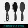 imageCONAIR Men Hair Brush Mens Detangler Brush for Everyday Brushing and All Hair Types Flexible Cushion Base with BallTipped Bristles Wont Snag or Pull BlackBlack