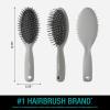 imageCONAIR Men Hair Brush Mens Detangler Brush for Everyday Brushing and All Hair Types Flexible Cushion Base with BallTipped Bristles Wont Snag or Pull BlackSlate Grey