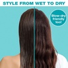 image:imageConair The Knot Dr hair brush  Pro Mini Detangler Detangling Heat Resistant Irregular shape Rubber 1 Count Black  Blue All hair types Unisex