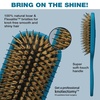 image:imageThe Knot Dr for Conair Pro Style Booster Porcupine Cushion HairbrushBlue